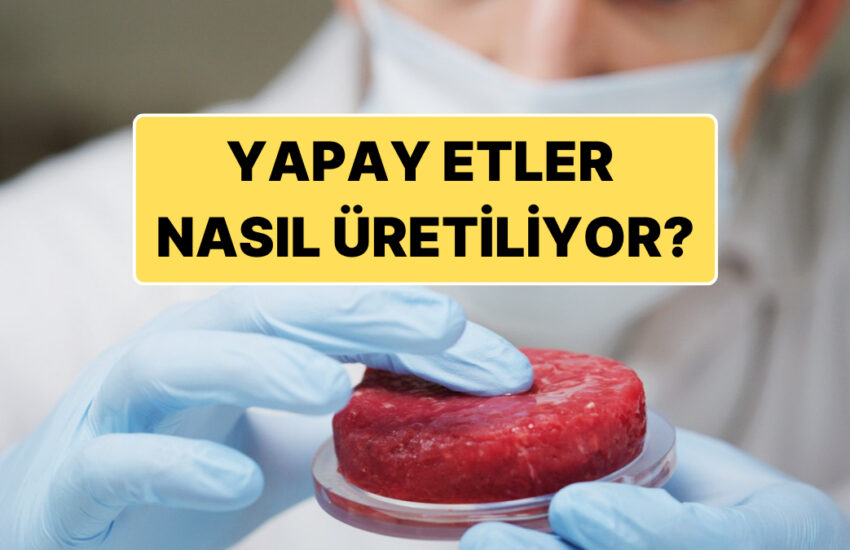 Yapay Etin Nasıl Üretildiğini Biliyor muydunuz? Adım Adım Anlattık!